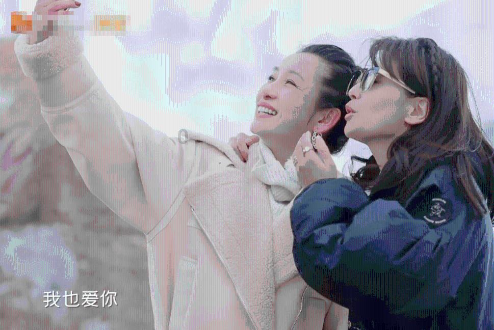 白莲花守则